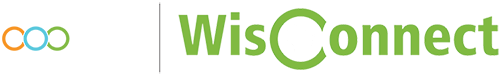 Wisconsin Internship Logo